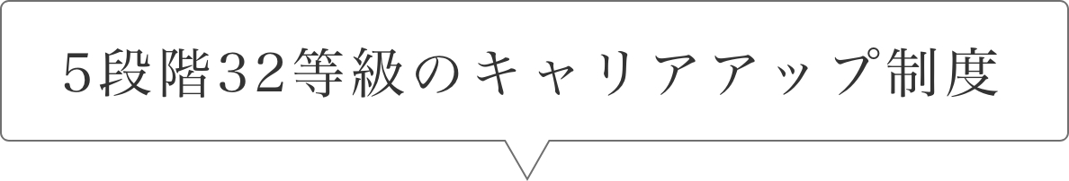 5段階32等級のキャリアアップ制度